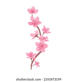 Sakura blüht. Rosa Blumen Blütenblätter, Kirschen- oder Pfirsichbäume mit Blättern. Flache Vektorgrafiken für den Frühling in Asien, Natur, Blüte