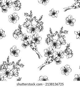 Sakura blossom seamless pattern. Tree branch of almond, apricot, cherry, apple. Japanese botanical vector illustration. Black ink art isolated on white background. Hand drawn realistic sketch bloom