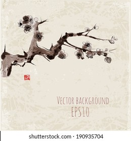 Sakura blossom. Seasonal cherry blossom hand-drawn with ink in traditional Japanese style sumi-e. Vector illustration. 