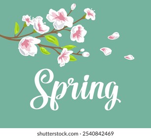 Sakura blossom. Spring lettering. Cherry branch with flowers and bud. The petals are falling and fly. Vector color illustration.