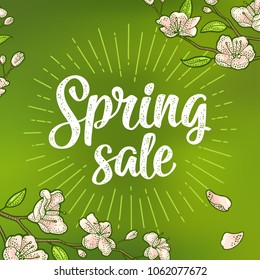 Sakura blossom. Spring Sale calligraphic handwriting lettering. Cherry branch with flowers and bud. The petals are falling and fly. Vector color vintage engraving on green mesh gradient background.
