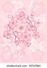 Sakura-Blüte, Vektorillustration
