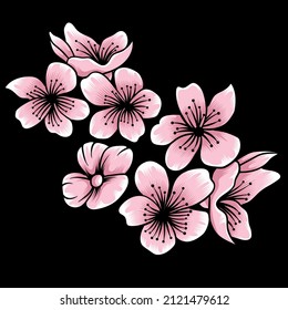 Sakura blossom vector illustration isolated on dark background