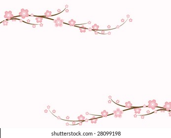Sakura Blossoms