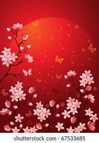 Sakura blossoms