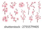 Sakura blossoms elements set design. Collection with soft pink blooming cherry tree branches, gentle twigs with buds and flowers, spring japanese plants with pastel colors petals. Vector illustration.