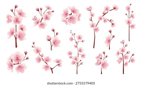 Sakura blossoms elements set design. Collection with soft pink blooming cherry tree branches, gentle twigs with buds and flowers, spring japanese plants with pastel colors petals. Vector illustration.