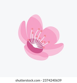 Sakura blossoms are the iconic pink flowers of Japan, adorning trees with their mesmerizing beauty in the spring