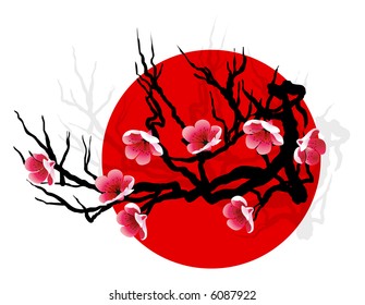 Sakura blossoms on tree silhouette over red sun