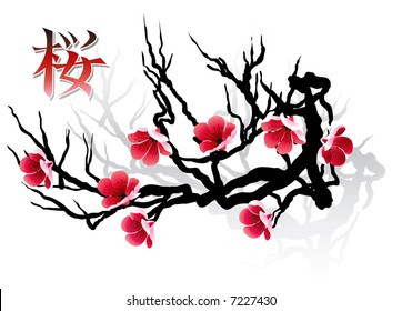 Sakura blossoms on tree silhouette and calligraphy