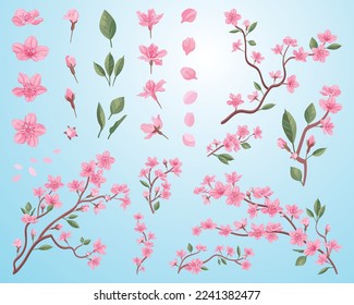 Sakura blossoms set. Pink flowers petals, cherry or peach tree branches with leaves. Flat vector illustrations for spring in Asia, nature, blooming festival concept