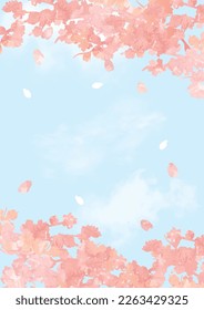 Sakura, blue sky, gentle spring background illustration