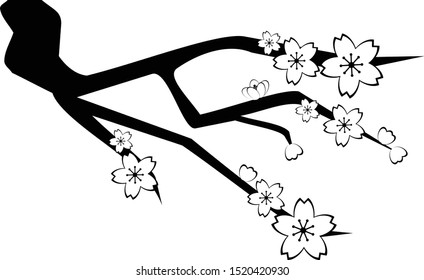 Sakura branch with black color