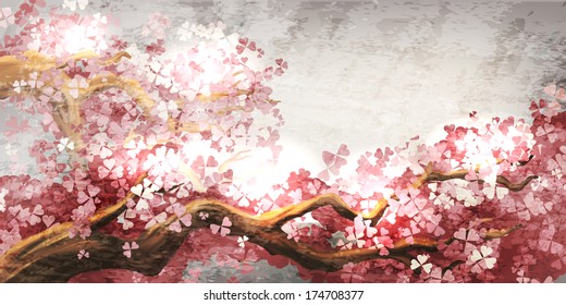 Sakura branch blooming