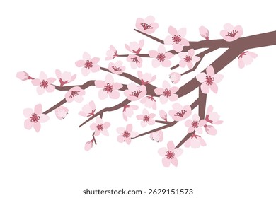 Sakura branch. Blossom cherry branch flowers, Asian flowering peach Japanese tree in Korea or Chinese, pink bud flower spring blossoming.