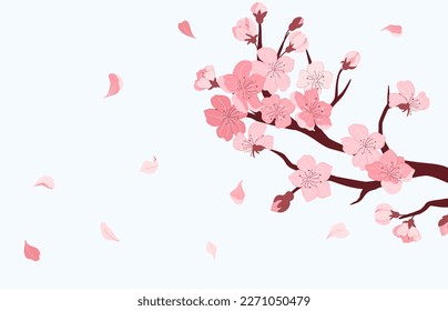 Sakura branch. Cherry blossom with falling petals of pink flowers, Japanese sakura season banner vector illustration. Spring tree with bloom, asian romantic garden with oriental plants