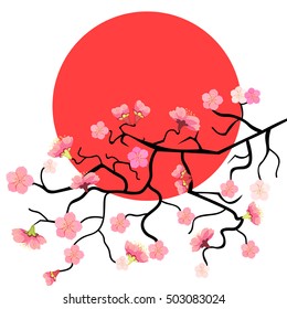 Sakura branch with cherry blossom at sunset vector illustration