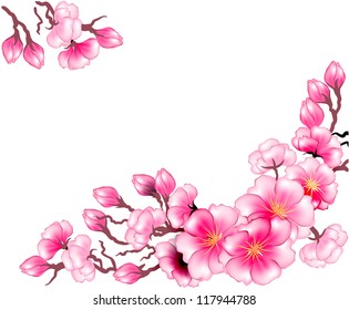 Sakura branch flowers design template
