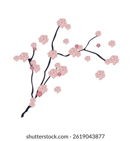 Sakura branch with flowers in flat design. Japanese pink cherry blooming. Vector illustration isolated.