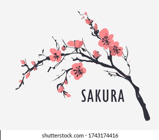 Sakura branch with flowers. Vector illustration
