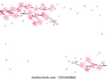 Sakura branch with flying petals on white background vector illustration. Spring time wallpaper.