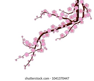 Sakura branch graphic vector
