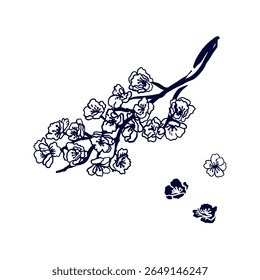 Sakura branch. Hand drawn vector illustration of Japanese cherry tree in graphic black and white style, calligraphy. For tourist postcards, invitations, banners, posters, booklets.