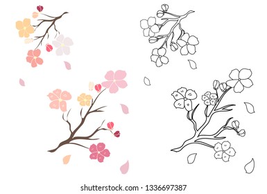 Sakura branch isolate vector.Cherry blossom