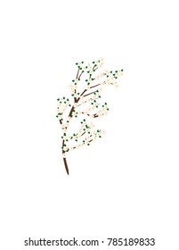 Sakura branch isolated