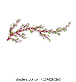 Sakura branch. Isolated on white background. Vector illustration. Hand drawing