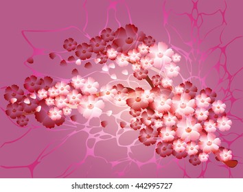 Sakura branch on a light background. EPS10 vector illustration