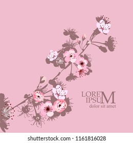 Sakura branch on a pink background