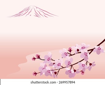 Sakura branch on a pink background