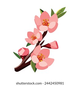 Sakura branch. Pink cherry blossoms. Flowering trees. Vector illustration on a white background.