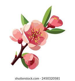 Sakura branch. Pink cherry blossoms. Flowering trees. Vector illustration on a white background.