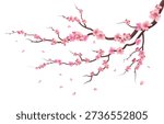 Sakura branch. Pink flowers blooming. Cherry tree