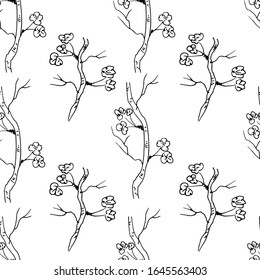 Sakura branch. Seamless pattern. Vector illustration.