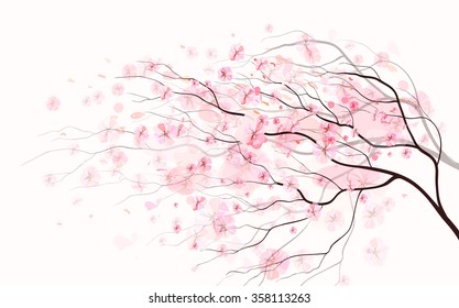 Sakura branch, spring floral background