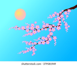 Sakura branch. Vector illustration.On the blue sky background.