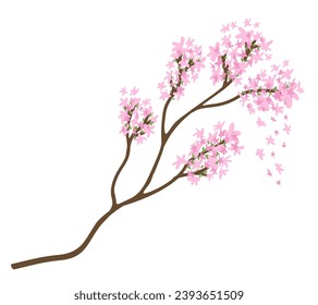 Sakura branch. Vector isolated illustration.