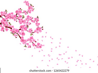 Branches Pink Flowers Cherry Buds Sakura Stock Vector (Royalty Free ...