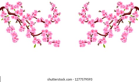 Sakura. Branches with purple flowers. Cherry blossoms is located on both sides. Inscription. Isolated on white background. Vector Illustration