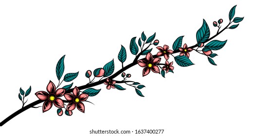 Sakura brunch. Hand drawn vector illustration of cherry branch with flowers in traditional ink style. Isolated on white background.