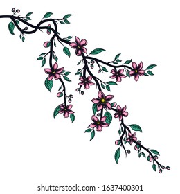 Sakura brunch. Hand drawn vector illustration of cherry branch with flowers in traditional ink style. Isolated on white background.