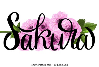 Sakura brush lettering on floral spring background