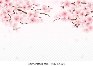 Florecimiento del cerezo de Sakura. 3.ª flor superpuesta, transparente paisaje rosa primaveral japonés, naturaleza realista. ramas florales, decoración de invitación a la boda con espacio para copiar. Afiche aislado del vector