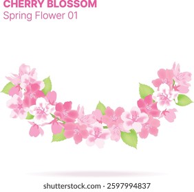 Sakura or Cherry Blossom Arranged in Borders