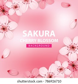 Sakura , cherry blossom background vector illustration