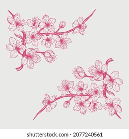 Sakura Cherry Blossom Branch. Falling Petals, Flowers. Isolated Flying Realistic Japanese Pink Cherry Or Apricot Floral Elements Fall Down Vector Background. Cherry Blossom Branch, Flower Illustration