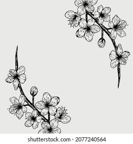 Rama de cerezo sakura. Cae pétalos, flores. Los elementos florales de cerezo rosado japonés, aislados y realistas, caen por el fondo vectorial. Rama de flor de cerezo, ilustración de flor